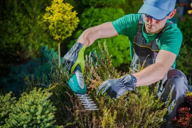 landscaping services Greenup